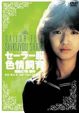 阿甘正传剧情电影海报